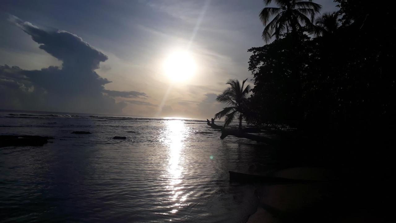 Hotel Casa Vito Beachfront Puerto Viejo de Talamanca Zewnętrze zdjęcie