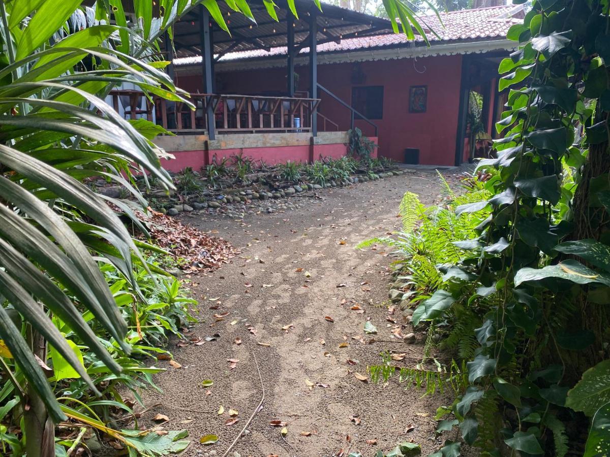 Hotel Casa Vito Beachfront Puerto Viejo de Talamanca Zewnętrze zdjęcie