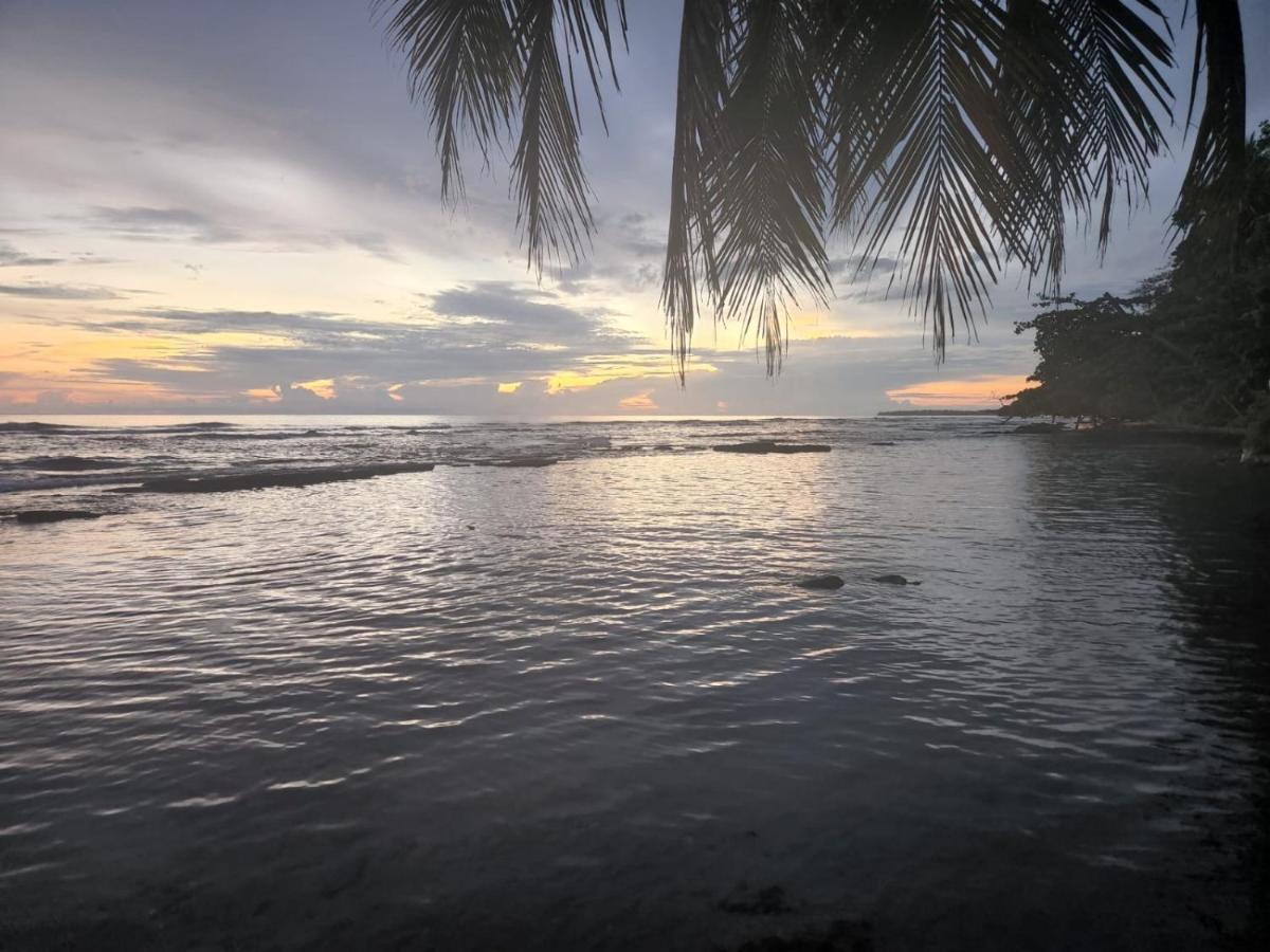 Hotel Casa Vito Beachfront Puerto Viejo de Talamanca Zewnętrze zdjęcie