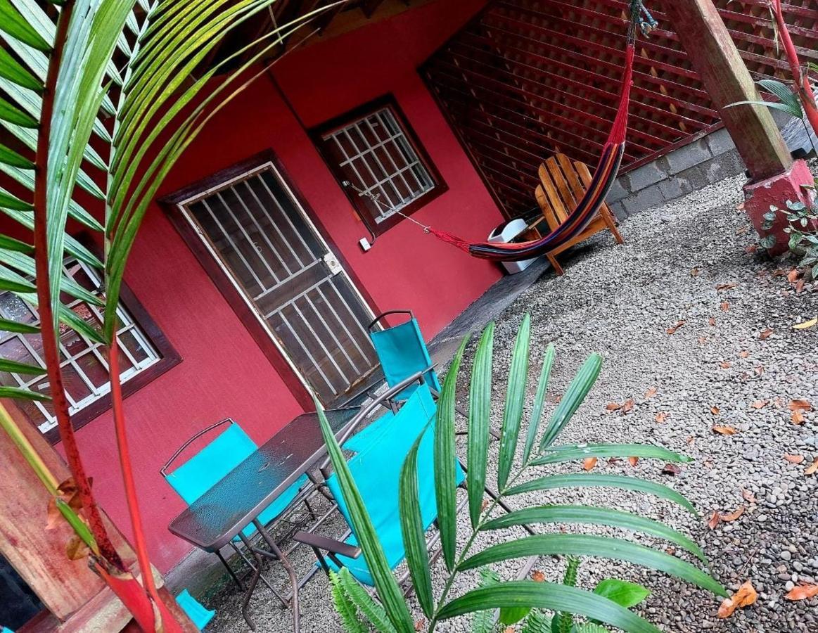 Hotel Casa Vito Beachfront Puerto Viejo de Talamanca Zewnętrze zdjęcie