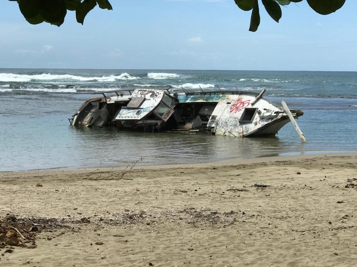 Hotel Casa Vito Beachfront Puerto Viejo de Talamanca Zewnętrze zdjęcie