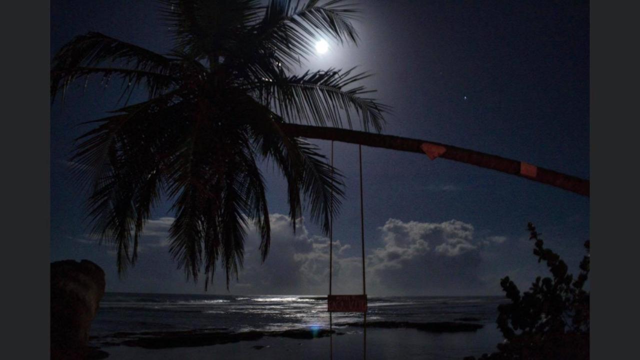 Hotel Casa Vito Beachfront Puerto Viejo de Talamanca Zewnętrze zdjęcie