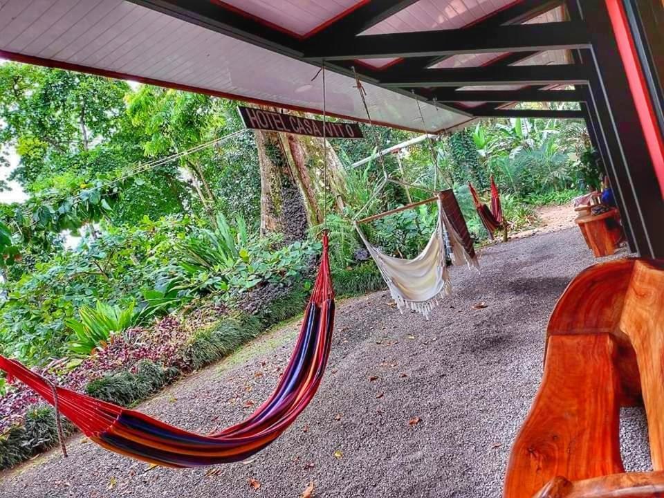 Hotel Casa Vito Beachfront Puerto Viejo de Talamanca Zewnętrze zdjęcie
